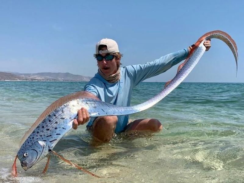 Giant Oarfish