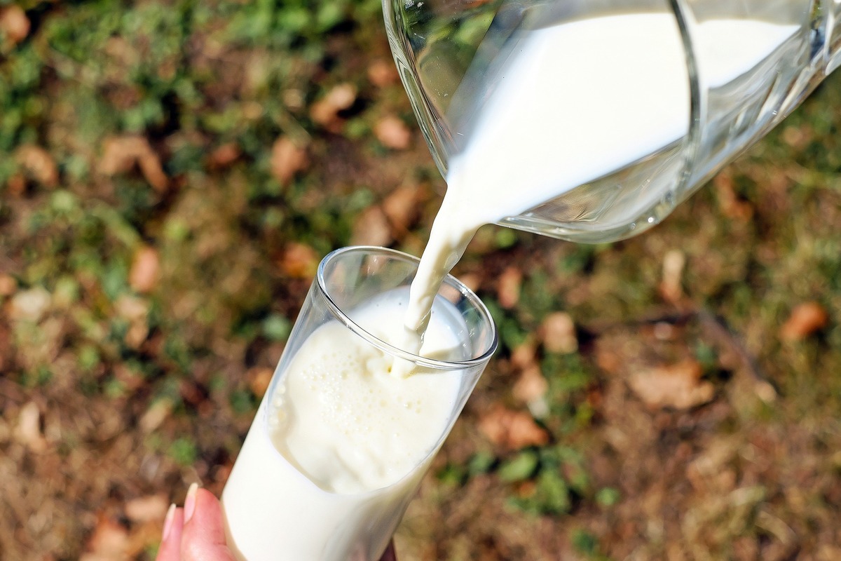 A person pours milk from a pitcher into a glass.