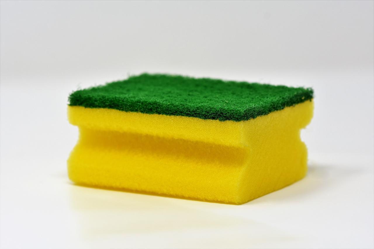 normal sponge